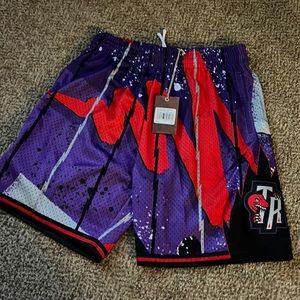 Authentic Toronto Raptors Mitchell & Ness Basketball Shorts
